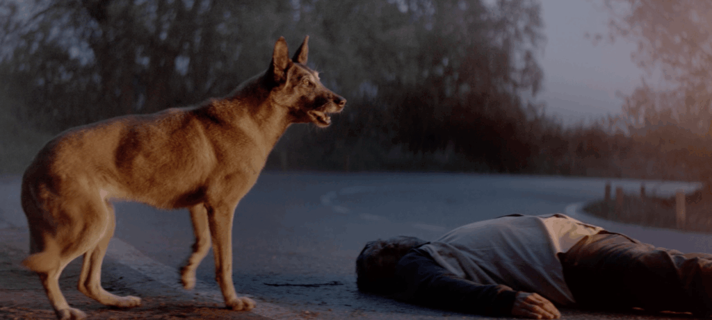 30 millions d’amis video preview