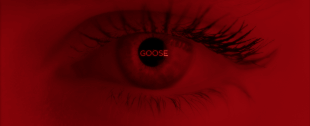 Goose – Your Ways video preview