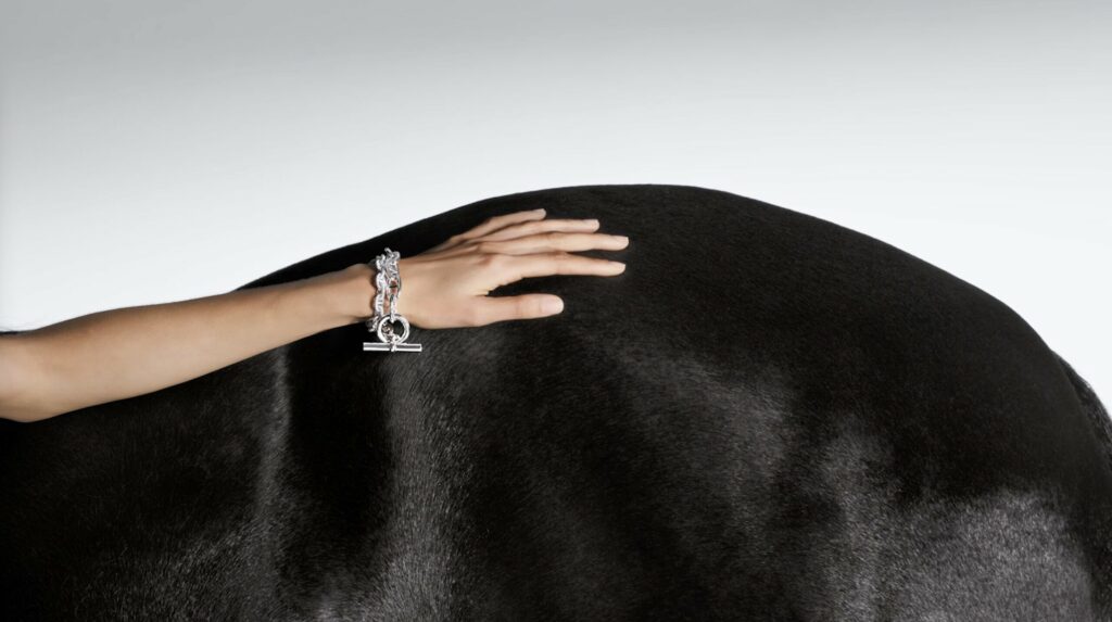 Hermès Bijouterie Cavalière video preview